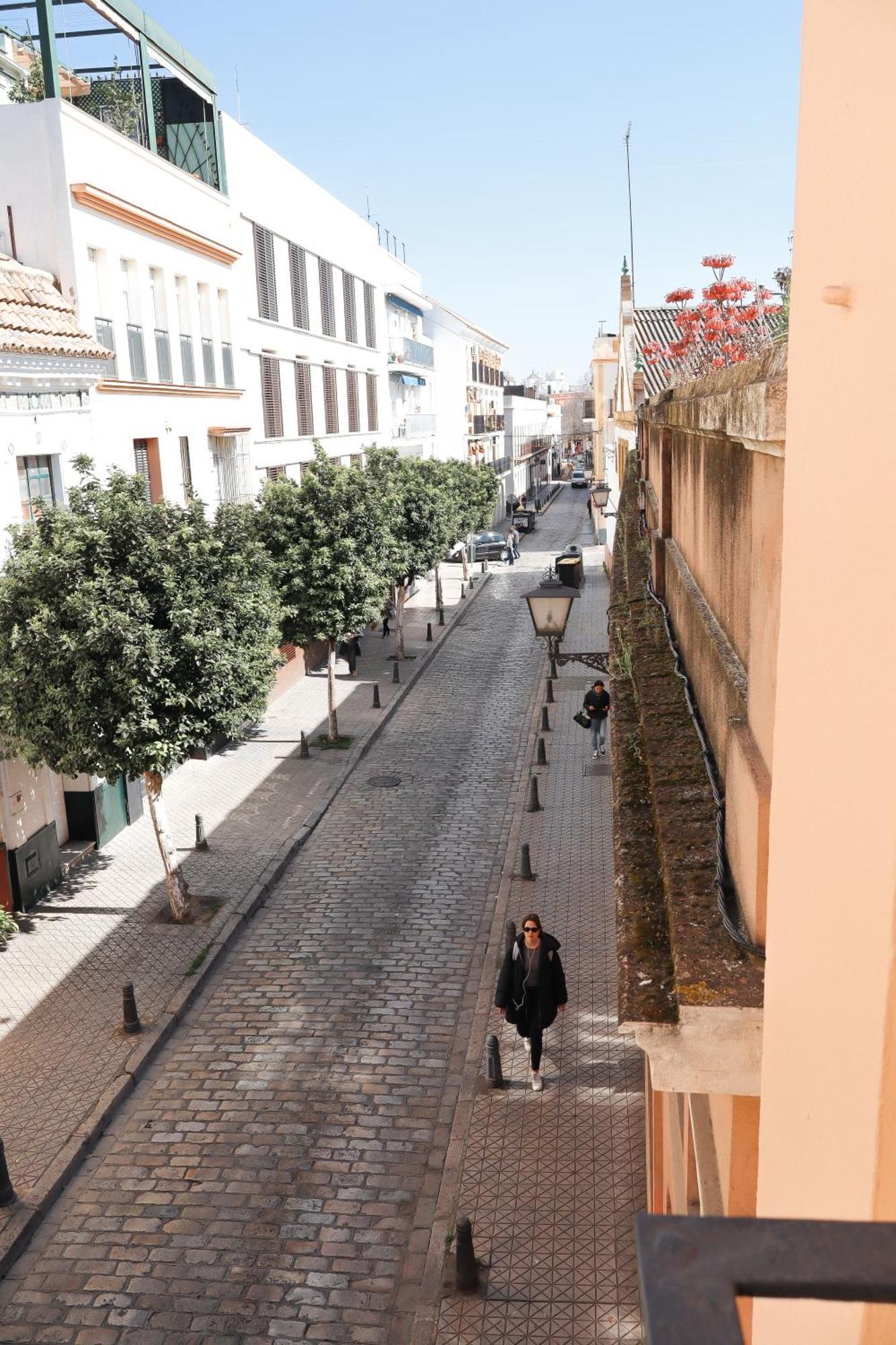 Monkeys Apartments Lumbreras Deluxe Sevilla Dış mekan fotoğraf